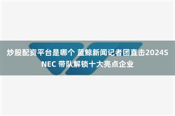 炒股配资平台是哪个 蓝鲸新闻记者团直击2024SNEC 带队解锁十大亮点企业