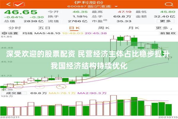 深受欢迎的股票配资 民营经济主体占比稳步提升 我国经济结构持续优化