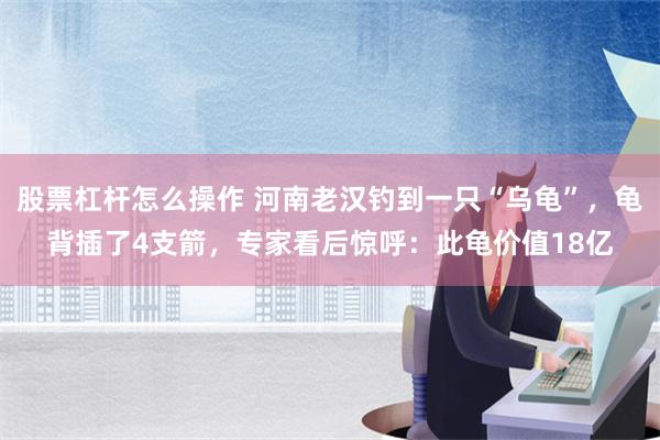 股票杠杆怎么操作 河南老汉钓到一只“乌龟”，龟背插了4支箭，专家看后惊呼：此龟价值18亿