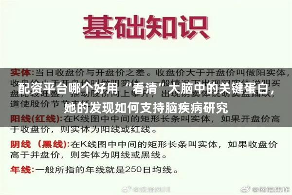 配资平台哪个好用 “看清”大脑中的关键蛋白，她的发现如何支持脑疾病研究