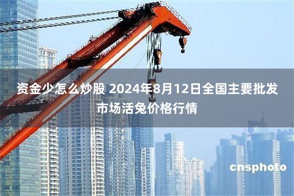 资金少怎么炒股 2024年8月12日全国主要批发市场活兔价格行情