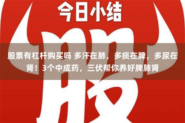 股票有杠杆购买吗 多汗在肺，多痰在脾，多尿在肾！3个中成药，三伏帮你养好脾肺肾