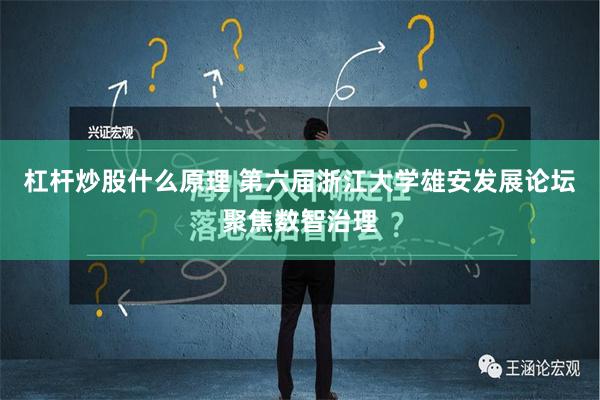 杠杆炒股什么原理 第六届浙江大学雄安发展论坛聚焦数智治理