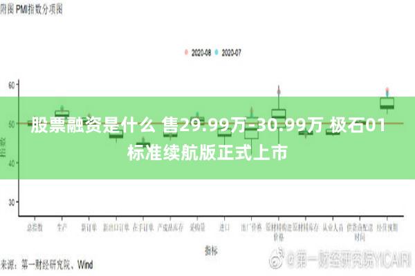 股票融资是什么 售29.99万-30.99万 极石01标准续航版正式上市