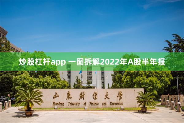 炒股杠杆app 一图拆解2022年A股半年报