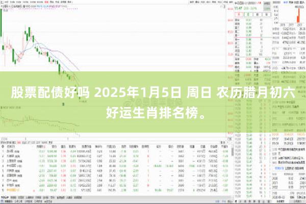 股票配债好吗 2025年1月5日 周日 农历腊月初六 好运生肖排名榜。