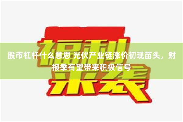 股市杠杆什么意思 光伏产业链涨价初现苗头，财报季有望带来积极信号